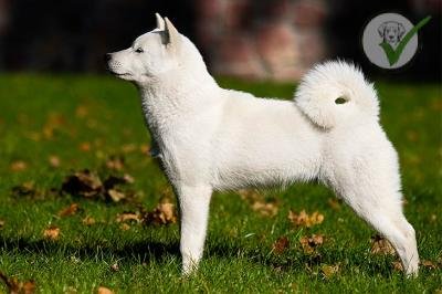 Hokkaido